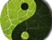 Mộc
